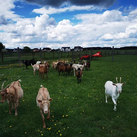 דירה Od Kaszuba Zuromino