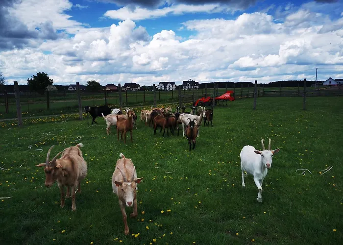 Lägenhet Od Kaszuba *